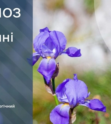 Хмарно з проясненнями та до +23°С: прогноз погоди по Київщині на 18 травня