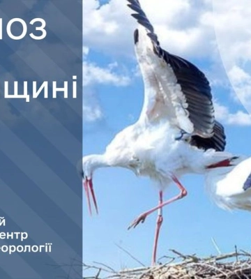 А вночі на Рівненщині - знову заморозки
