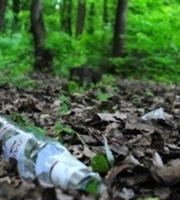 Люди завалюють ліси Рівненщини сміттям