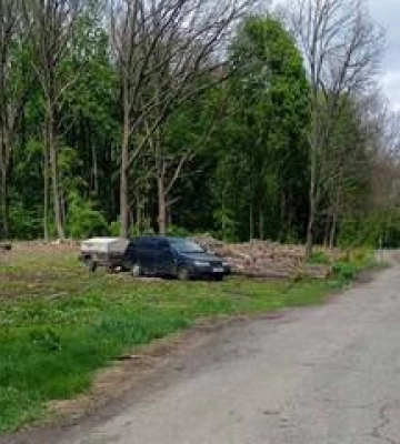Під Полтавою  активісти намагаються врятувати дубовий ліс