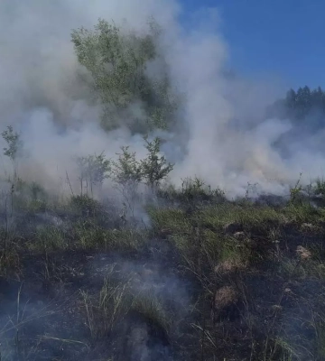 Упродовж доби пожежники ліквідували три загоряння сухої рослинності