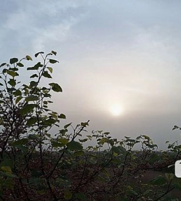 Якою буде погода у Кривому Розі у неділю 19 травня