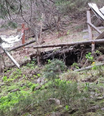 На гірських маршрутах поруч із державним кордоном з’явилося багато ведмедів