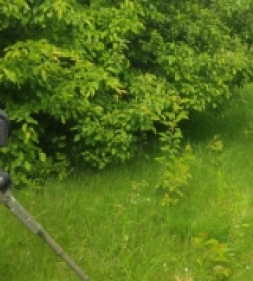 У лісі на Дубенщині виявили два боєприпаси часів Другої світової війни