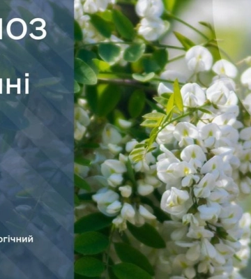Прогноз погоди у Дніпрі на 20 травня