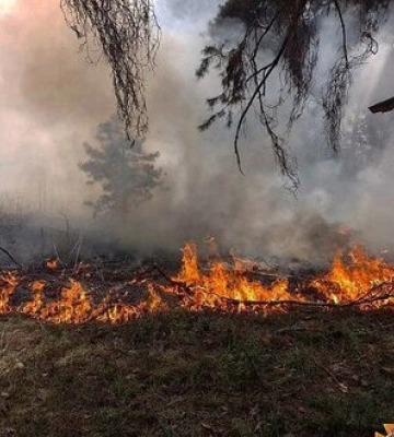 Через падіння уламків російського БПЛА на Львівщині виникла пожежа у лісі