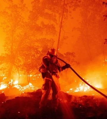 Пожежа у лісгоспі на Львівщині сталася через уламки ворожого дрона