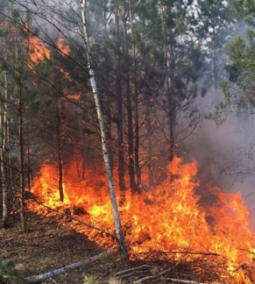 Уламок безпілотника спричинив пожежу у Золочівському районі Львівщини