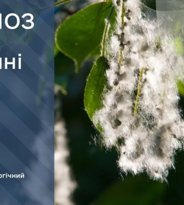 На період з 20 по 23 травня в окупованому Криму оголосили надзвичайну пожежну небезпеку