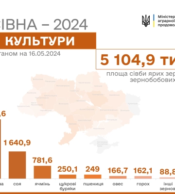 В Україні засіяно 11,4 млн гектарів зернових та олійних