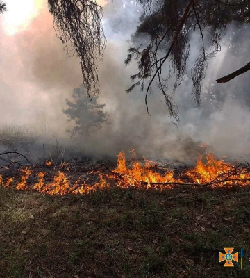 Уламок безпілотника спричинив пожежу у Золочівському районі Львівщини