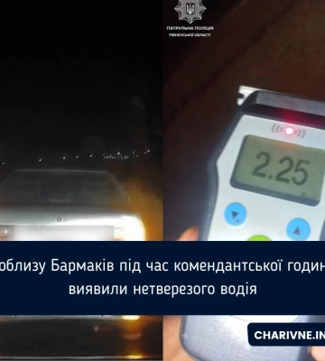 Поблизу Бармаків під час комендантської години виявили нетверезого водія