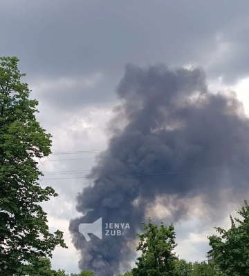 Масштабна пожежа у Харкові: горіла суха трава та очерет (фото, відео)