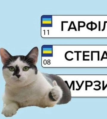 Послугу із замовлення індивідуальних номерних знаків для авто відновили