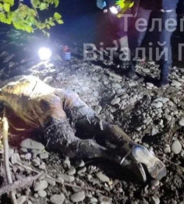  У річці Тиса виявили тіло чоловіка