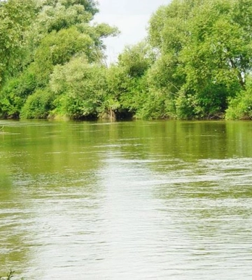 На Львівщині перевірили якість води в річках. Де найгірша