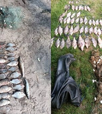 Уранці на Дніпропетровщині викрили чоловіків, які наловили риби на 170 000 гривень