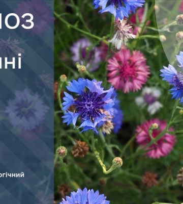 Прогноз погоди на 22 травня Київ близько 25° та область 23-28°