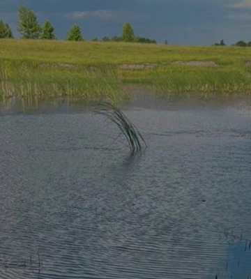 На Рівненщині з водойми дістали потопельника