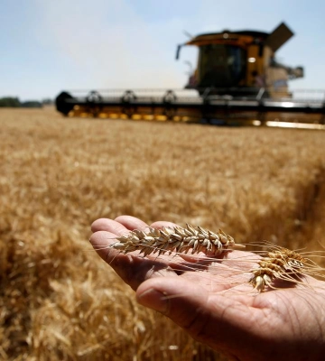 Власник Trans-Oil Важа Джаши закликав рятувати українського аграрія