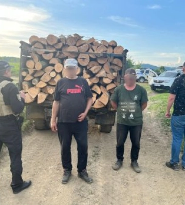 На Закарпатті затримали двох місцевих, які незаконно вирубували деревину