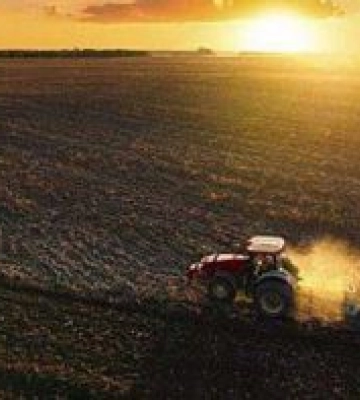В Україні вже засіяно понад 11 мільйонів гектарів ярих культур