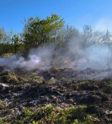 Львівські синоптики заповідають на 23 – 26 травня надзвичайну пожежну небезпеку