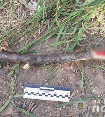 Побили палкою та вкрали телефон: поліція затримала двох криворіжців