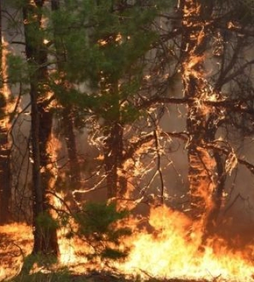 На Полтавщині оголосили найвищий рівень пожежної небезпеки
