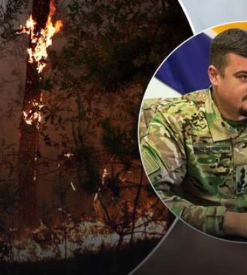 Поблизу Станиці Луганської палає понад 100 гектарів лісу, окупанти не можуть його загасити