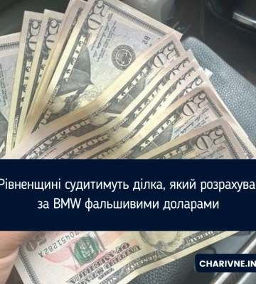 На Поліссі судитимуть ділка, який розрахувався за BMW фальшивими доларами