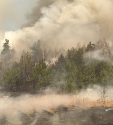 У Києві на дорозі загорілась фура, відео