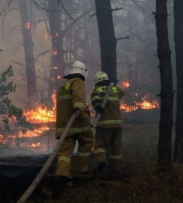 На Луганщині горить 110 га лісу: горе-пожежники так званої лнр ніяк не можуть загасити вогонь. Відео