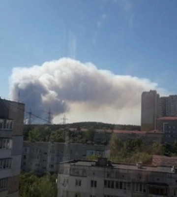 Мчатся пожарные со всего города: возле Киева вспыхнул масштабный лесной пожар. Фото и видео