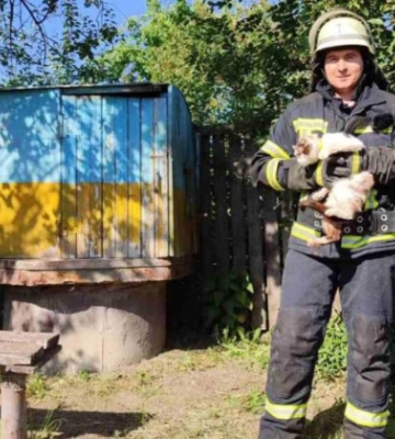 На Київщині надзвичайники врятували кота, який опинився на дні колодязя: фото