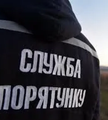 Лісову пожежу під Києвом локалізовано, ситуація контрольована