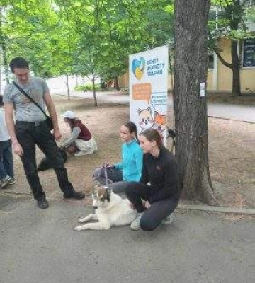 У Миколаєві відбулася виставка прилаштування тварин (ФОТО)