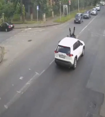 В Ужгороде чиновник сбил велосипедиста и скрылся, — журналист