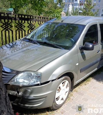У Золочеві п'яного водія, який збив пішохідку, зупинило дерево