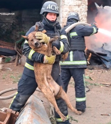 Ліквідуючи пожежу, що виникла через ворожий обстріл Дніпропетровщини, вогнеборці врятували песика (ВІДЕО)