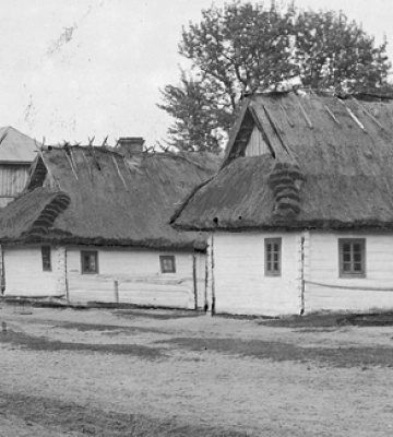 У селі на Волині в жінки вкрали усі півонії, якими вона похизувалася у фейсбуці