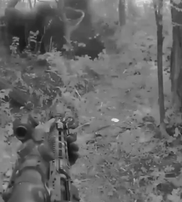 «Йшли на Харків»: воїни ССО знищили 11 окупантів, трьох – взяли в полон