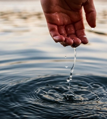 Два водосховища під Харковом за 7,5 млрд грн відібрали у підприємства
