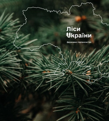 ФДМУ продав непрофільні активи "Лісів України": вдалося виручити майже 10 мільйонів гривень