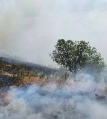 Окупанти обстріляли заповідник на Херсонщині