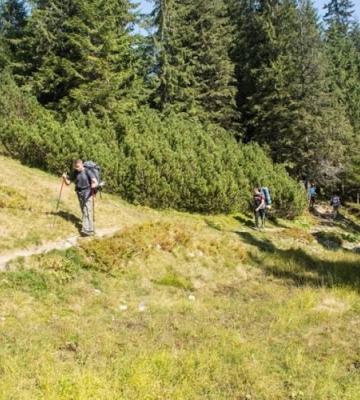 У Львові захисників запрошують на горотерапію