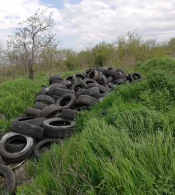 На Одещині виявили численні несанкціоновані сміттєзвалища