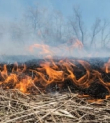Понад 14 пожеж за останні три місяці на Рівненщині: у селі Мощони горів гектар трави