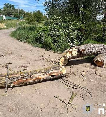 На Полтавщині у водоймі загинув шестирічний хлопчик