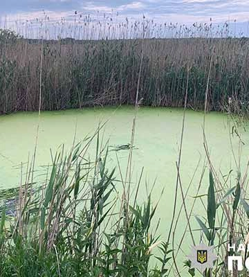 На Полтавщині в штучній водоймі потонув шестирічний хлопчик (ФОТО)